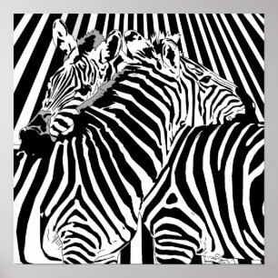 Poster Zebras Hugging pour Binary Options Trading