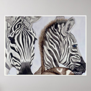 Poster Zebras mère et enfant