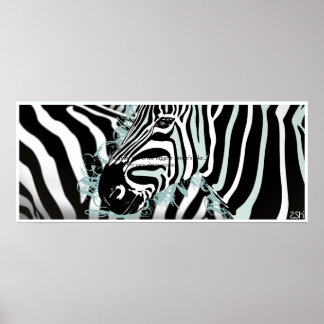 Poster Zèbre