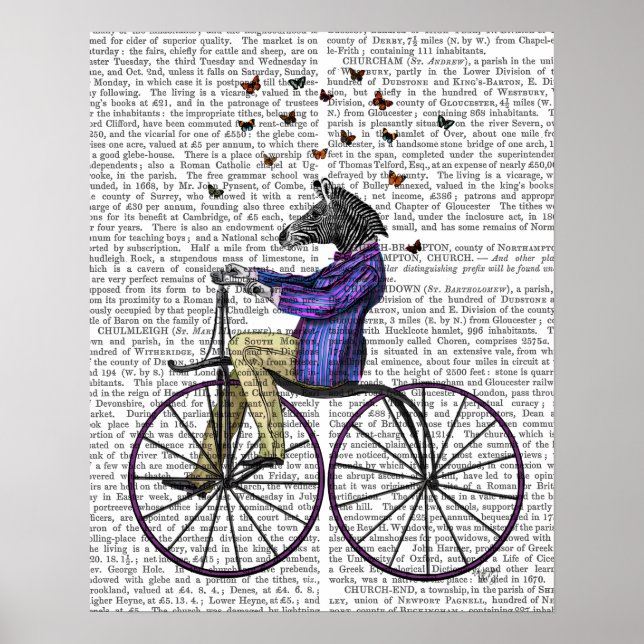 Poster Zèbre À Vélo (Devant)