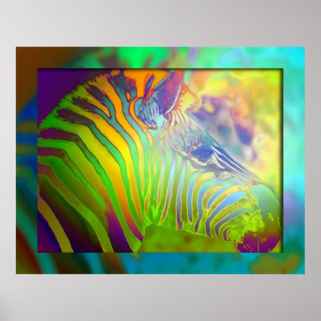 Poster zèbre coloré (Devant)