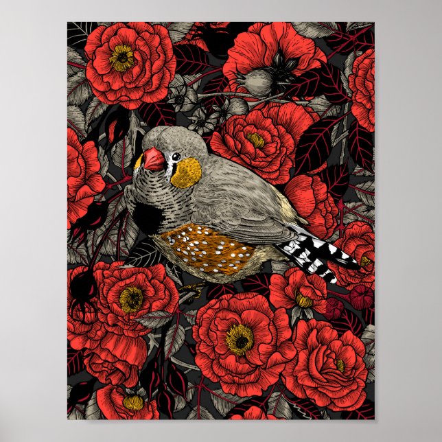 Poster Zèbre et rosier rouge (Devant)