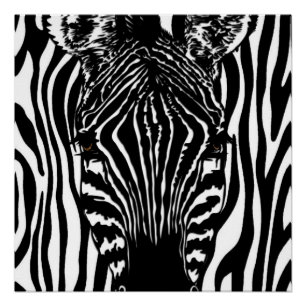 Poster Zèbre funky