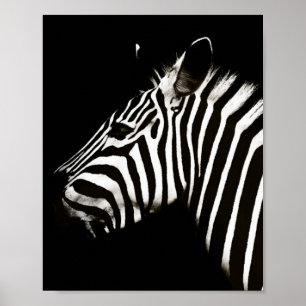 Poster Zèbre noir et blanc rayures Animal