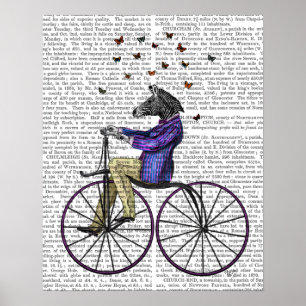 Poster Zèbre sur la bicyclette