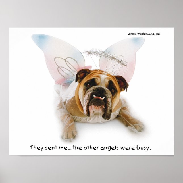 Poster Zelda Angel (Devant)