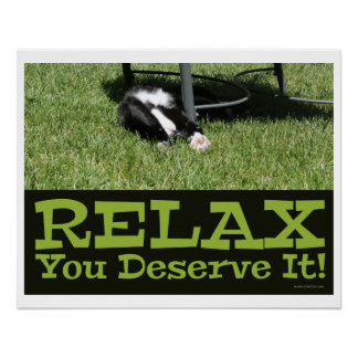 Poster Zen et être un chat Relax Slogan