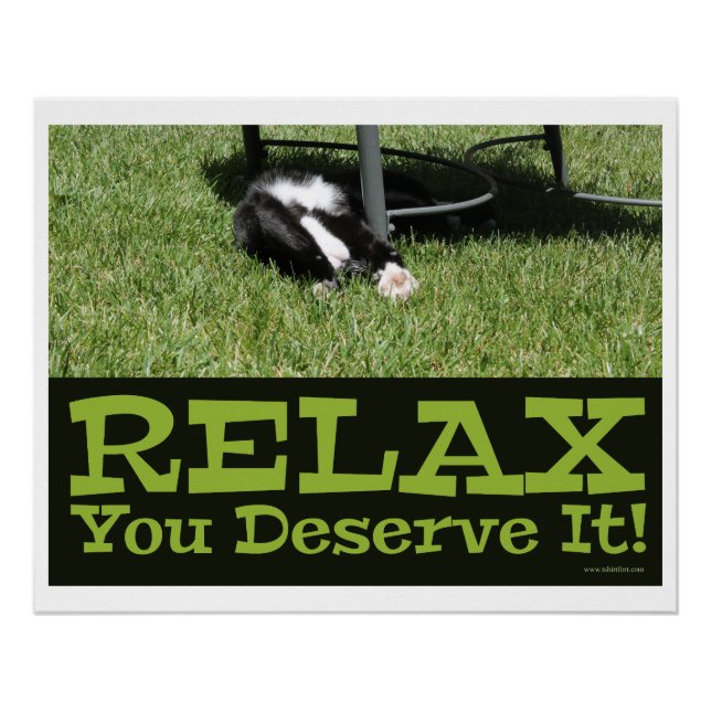 Poster Zen et être un chat Relax Slogan (Devant)