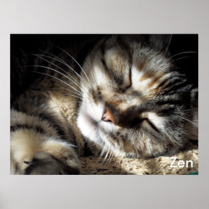 Poster Zen Kitty
