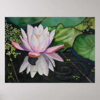 Poster Zen Lilly