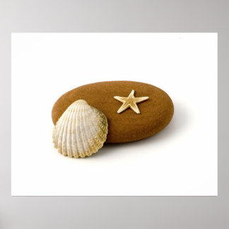 Poster Zen Nature Sea Shell Poisson étoile Pebble