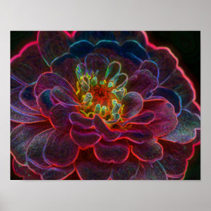 Poster Zinnia Imaginaire Abstrait