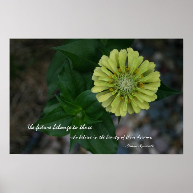 Poster Zinnia jaune avec une citation d'Eleanor Roosevelt (Devant)