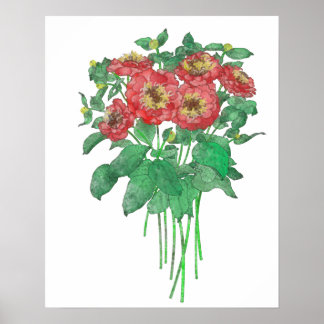 Poster Zinnias
