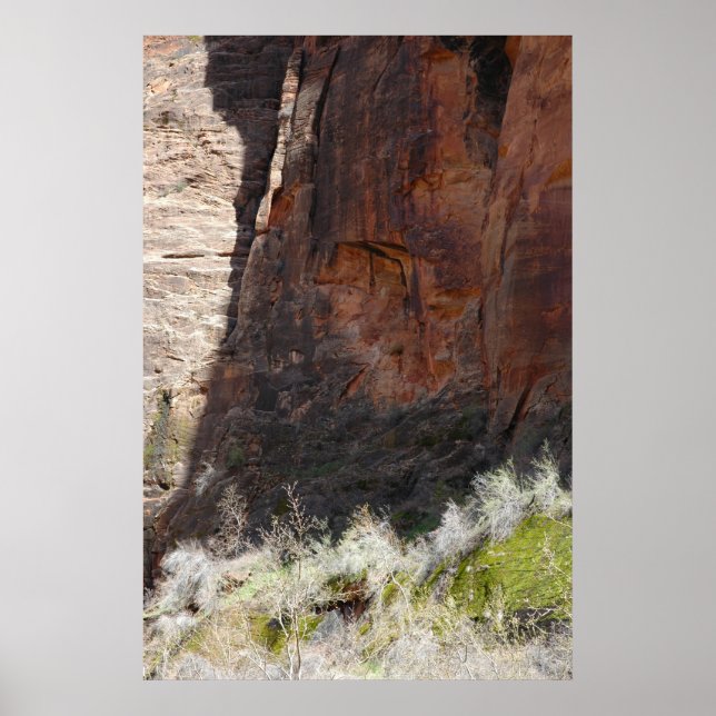 Poster Zion Canyon (Devant)