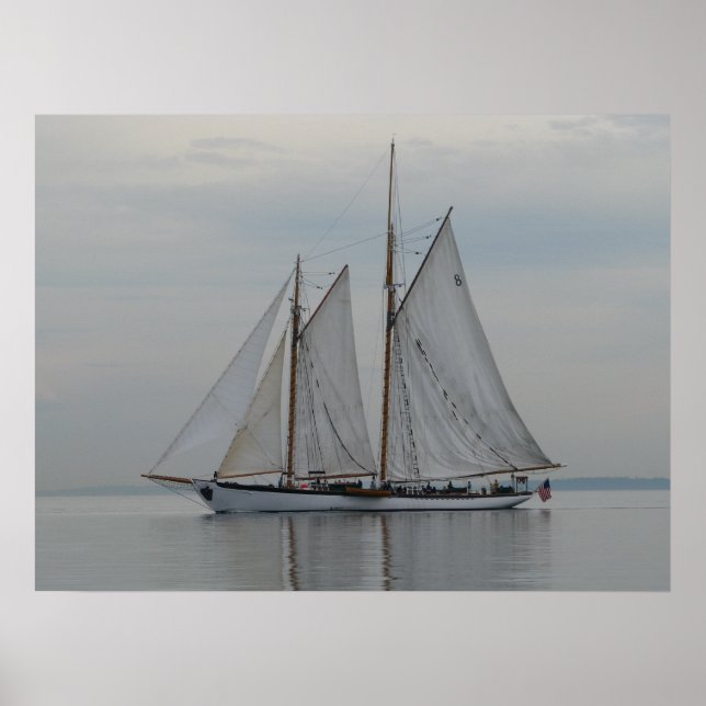 Poster Zodiaque (Devant)