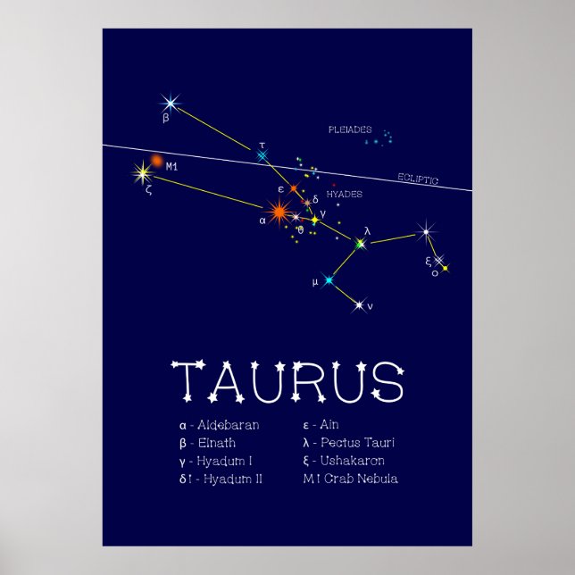 Poster Zodiaque Taurus (Devant)