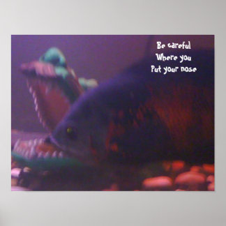 Poster Zone de danger