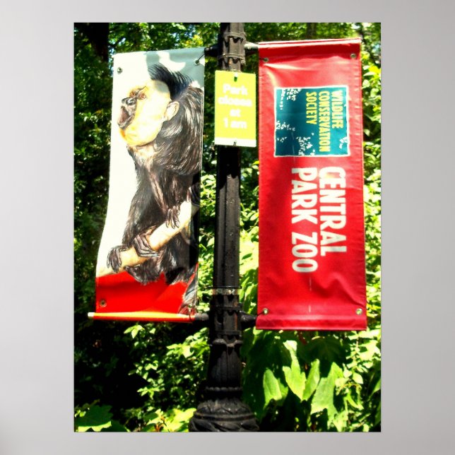Poster Zoo de Central Park (Devant)