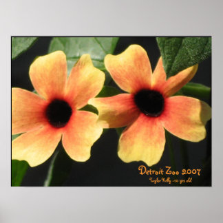 Poster Zoo de Détroit