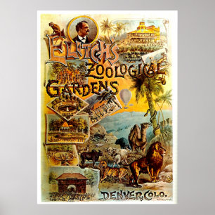 Poster Zoo d'Elitch - Imprimer