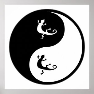 Poster Zoologie de Yin Yang