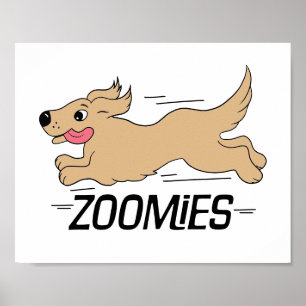 Poster Zooms de chien