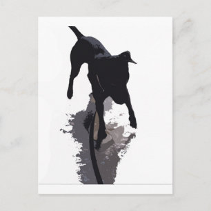 posterized dog and shadow postcard