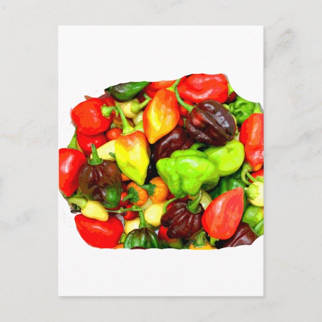 Posterized Hot Pepper Assortment Picture Postcard (Front)