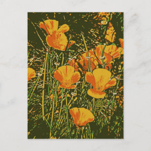 Posterized Poppies Postcard