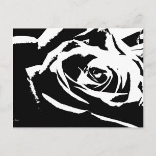 Posterized Rose Art Postcard