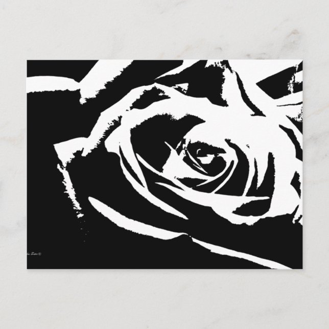 Posterized Rose Art Postcard (Front)