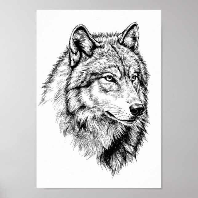 Posters Black and White Animal Portrait (Front)