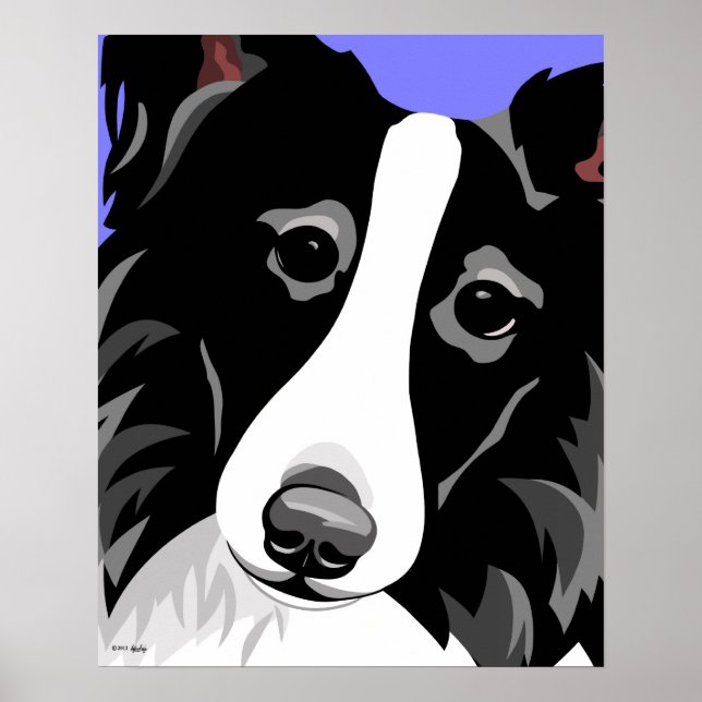 Posters Collie Bordure (Devant)