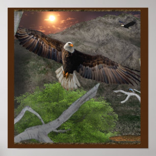 Posters d'aigle