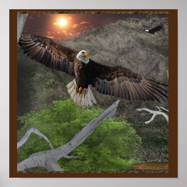 Posters d'aigle (Devant)