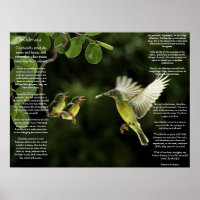 Posters de Desiderata Hummingbird