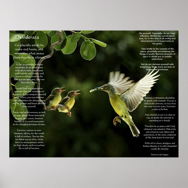Posters de Desiderata Hummingbird (Devant)