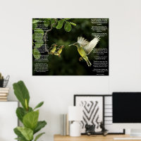 Posters de Desiderata Hummingbird