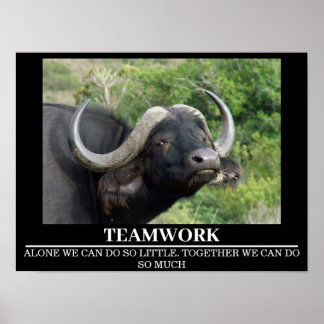 Posters de motivation faunique Travail d'équipe de
