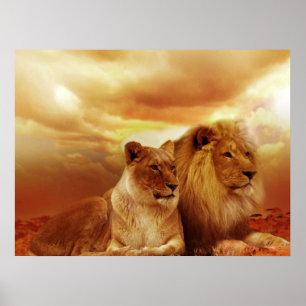 Posters de Paire de Lion