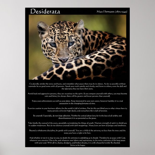 Posters Desiderata 8 (Devant)