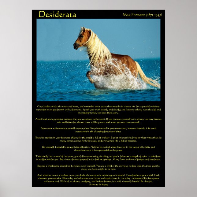 Posters du Cheval d'eau Desiderata (Devant)