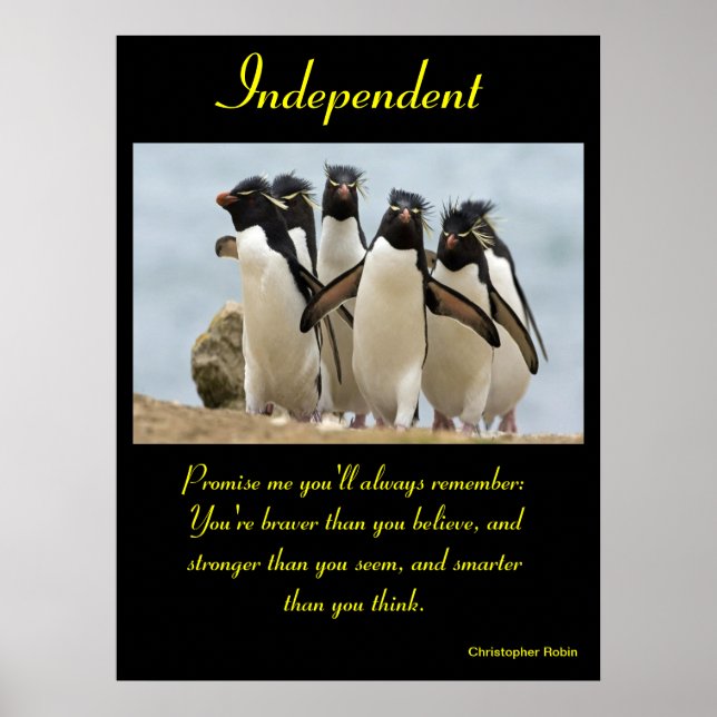 Posters indépendants Animal 5 (Devant)