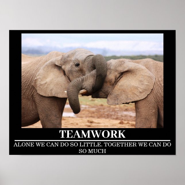 Posters Motivation Faune Elephant Travail d'équipe (Devant)