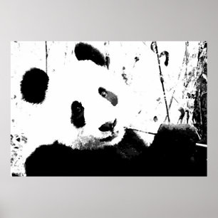 Posters Panda - Visage Panda noir et blanc