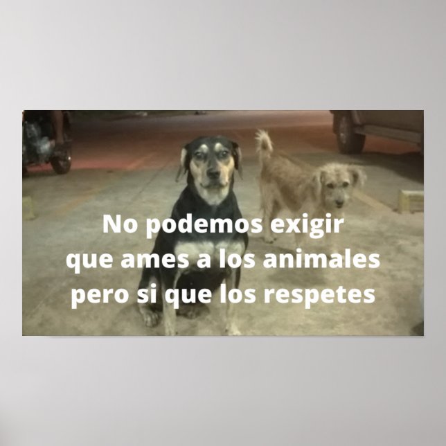 Posters respeto a los animales (Front)