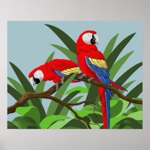 Posters Scarlet Macaw