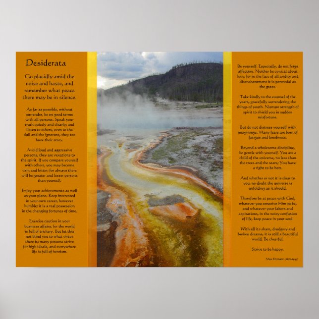 Posters Thermiques DESIDERATA Posters (Devant)