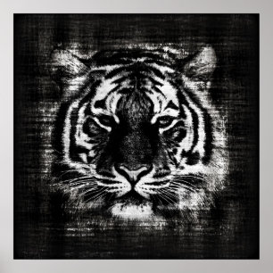 Posters vintage noirs et blancs de tigre